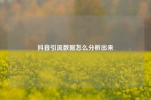 抖音引流数据怎么分析出来