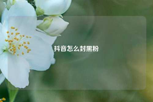 抖音怎么封黑粉