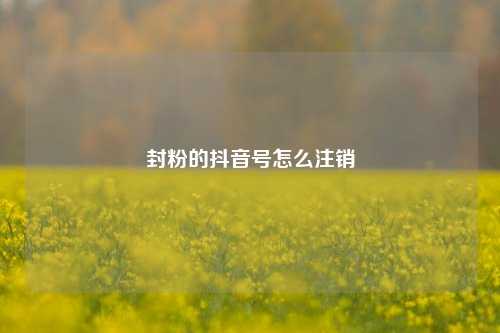 封粉的抖音号怎么注销