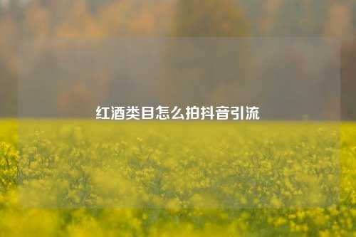 红酒类目怎么拍抖音引流
