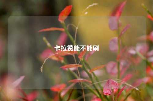 卡拉赞能不能刷