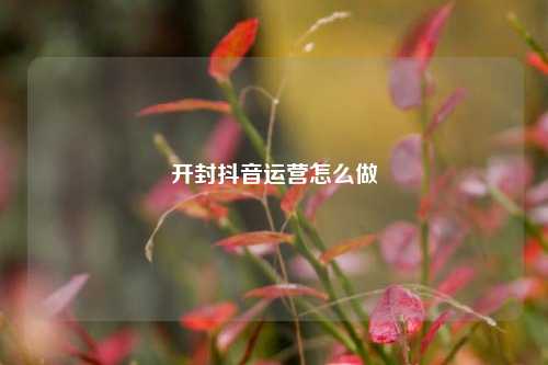 开封抖音运营怎么做