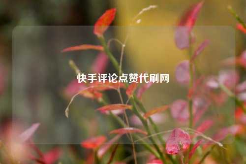快手评论点赞代刷网