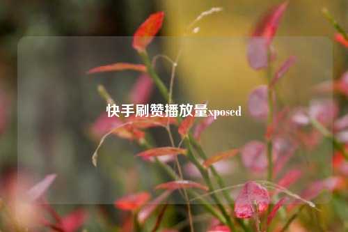 快手刷赞播放量xposed