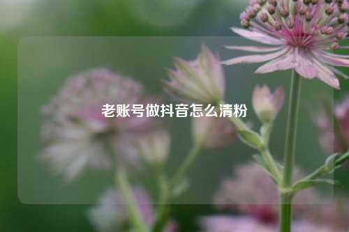 老账号做抖音怎么清粉