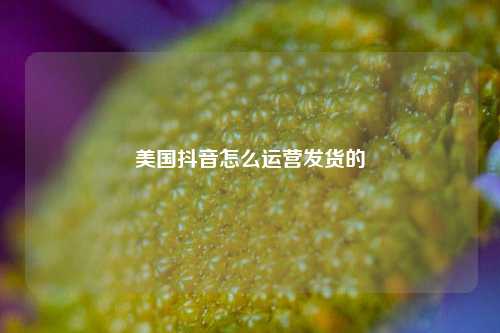 美国抖音怎么运营发货的