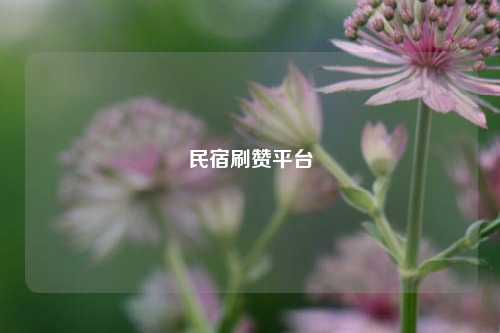 民宿刷赞平台