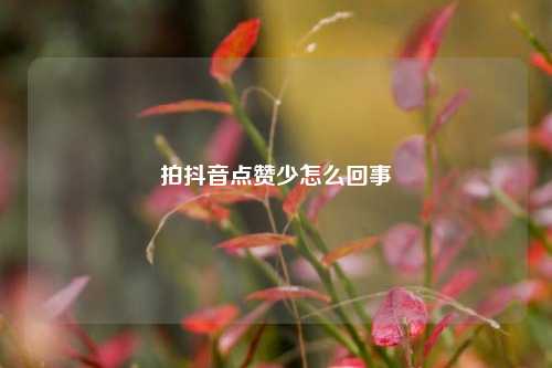 拍抖音点赞少怎么回事