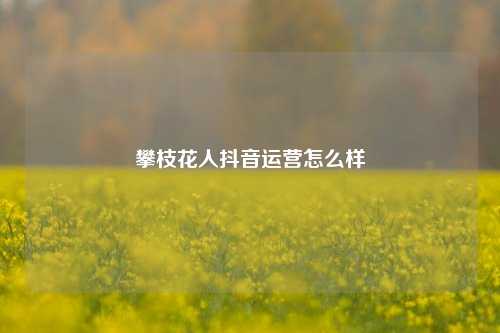 攀枝花人抖音运营怎么样
