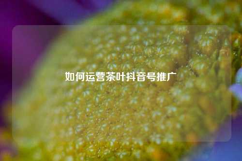 如何运营茶叶抖音号推广