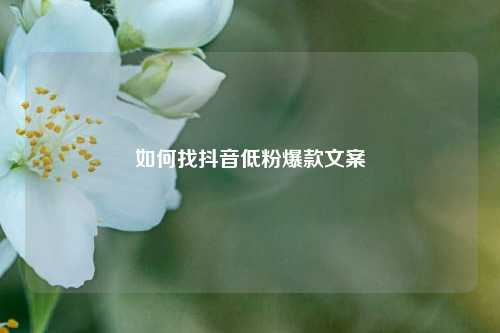 如何找抖音低粉爆款文案