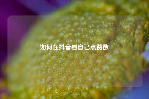 如何在抖音看自己点赞数