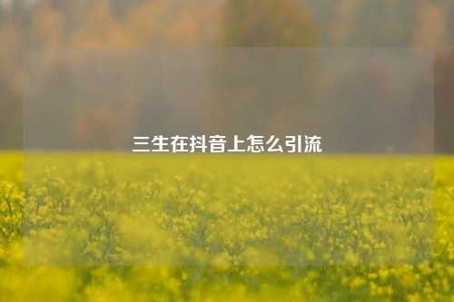 三生在抖音上怎么引流
