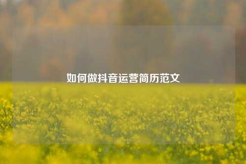 如何做抖音运营简历范文